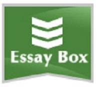 Essay Box image 1